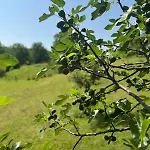 Small Appartamento Freundorf